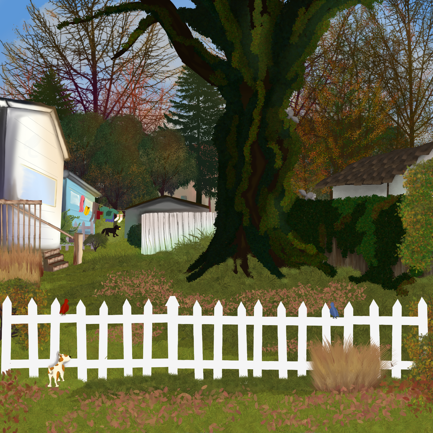 a white and brown dog looking through a white picket fence into another yard.